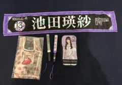 乃木坂46 池田瑛紗 ペンライト ペンライトポーチ タオル ミニバッグ 5点 2026年最新】池田瑛紗 ペンライトケースの人気アイテム - メルカリ