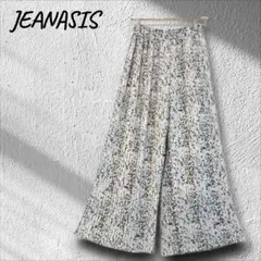 ジーナシス アソート プリーツワイドパンツ ガウチョパンツ ゆったり F