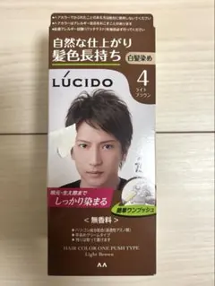 LUCIDO ワンプッシュケアカラー 4 ライトブラウンのサムネイル