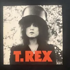 T-REX SLIDER USA盤　レコード/ LP