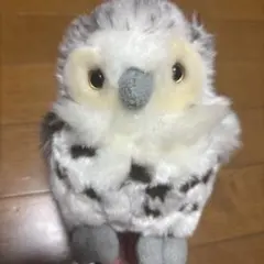掛川花鳥園 ぬいぐるみ セット ミミズク カワセミ - メルカリ