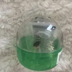 なにわ男子【大橋和也】　めじるしチャーム