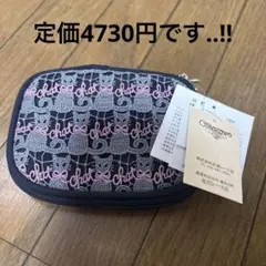 近沢レース ロシアンブルー アクセサリーポーチ
