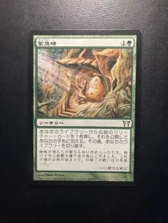 MTG JP 新緑の魔力 - メルカリ