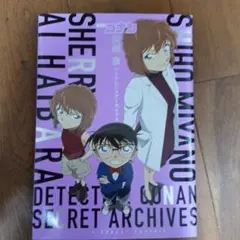 名探偵コナン灰原哀シークレットアーカイブス