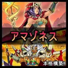 山屋 即日発送 アマゾネスデッキ 構築済みデッキ まとめ売り - メルカリ