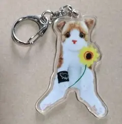 SOPHIA　黒柳能生　すわっちぃZooにゃんこ アクリルキーホルダー