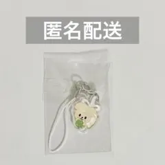 straykids スキズ SKZOO ペンミ チャーム 入場特典 パピーム