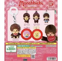 モンチッチ めじるしアクセサリー 2 チムたん2種セット