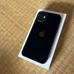 Apple iPhone 12 ブラック 64GB 本体＋おまけ