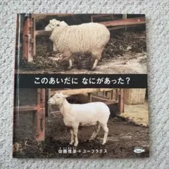 このあいだに なにがあった?　佐藤雅彦+ユーフラテス　かがくのとも絵本