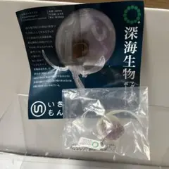 ネイチャーテクニカラー
