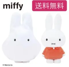 Item thumbnail for item 38e29560-0fc1-42ed-bcf0-c634b4743136