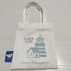 東京ディズニーシー ダッフィー ミニトートバッグ