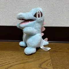 ポケモンセンター ワニノコ ぬいぐるみ キャンバスシリーズ - メルカリ