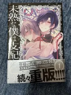 Item thumbnail for item 1deb7009-e718-4fba-aaef-1ff11d8f2a09