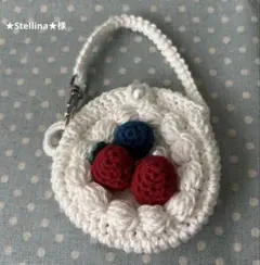 ★Stellina★様ご確認用のページです