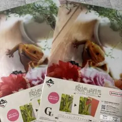 Item thumbnail for item 1f395005-c167-4d57-8c68-4e60af2fb3c5