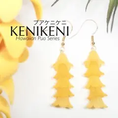 プアケニケニ 5連ピアス　イヤリング ハワイアンジュエリー パウスカート