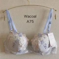 ももちゃん様 リクエスト 2点 まとめ商品