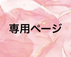 専用ページ