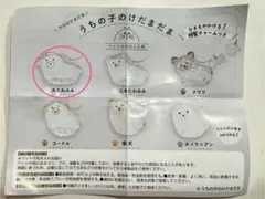 うちの子けだまだま 犬 丸たれみみ