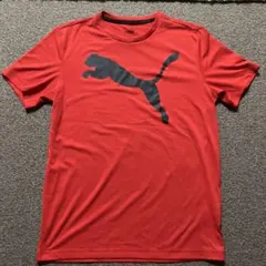 PUMA レッド Tシャツ Mサイズ
