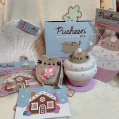 Pusheen Winter Box 2025まとめ売り
