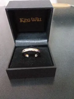 Item thumbnail for item 4cb53b6b-b1e4-4a8c-b53b-605294b521e8