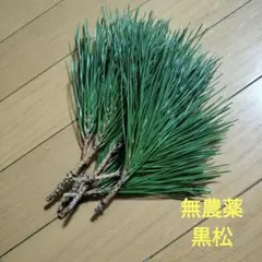 Item thumbnail for item 76860435-8aed-412f-b90d-f328d94ca824