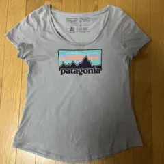 patagonia スリムフィット Tシャツ S グレー