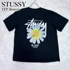 【美品】ステューシー 蜂 デイジー Tシャツ L 黒 ITP FLOWER 完売