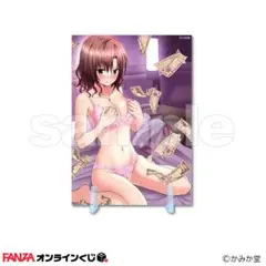 かみか堂　A5アクリルパネル他