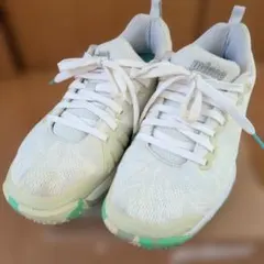 Item thumbnail for item ddc12b21-bbd2-47cd-95e7-3a762db4cc12