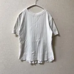 【nano】ナノユニバース ホワイト ストライプ 半袖Tシャツ 後ろボタン ３６