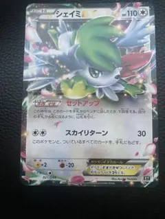 ポケモンカード　シェイミex セットアップ　ノーマル