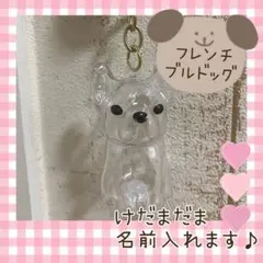 フレンチブルドッグ　けだまだま　フレブル