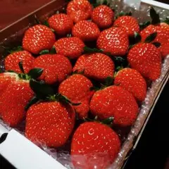 くまこ様専用ページ