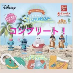 ディズニー　summer サマー　 めじるしアクセサリー　コンプリート