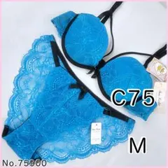 ブラジャーショーツセットC75 No.75900
