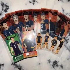 ハイキュー‼︎ 烏野高校　紙類　14点セット