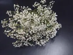 koba様