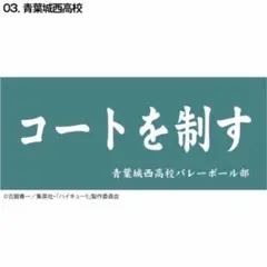 ハイキュー 青葉城西 タオル