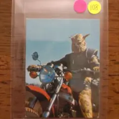 レア 旧カルビー 仮面ライダーカード 新明朝版 113番 良品 - メルカリ