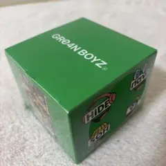 GRe4N BOYZ 2025 VIP特典　ワイヤレススピーカー