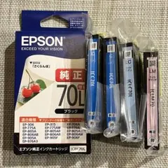 EPSON 純正インクカートリッジ 79 グレー シアン 2個セット - メルカリ
