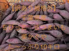 ちびっこ規格外 千葉県産さつまいも栗かぐや小粒たっぷり10㌔