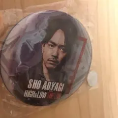 【値下げ✔️】HiGH＆LOW THELIVE会場限定ガチャ 青柳翔