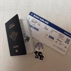 スキズ POPUP パスポート ステッカー バンチャン 韓国 搭乗券