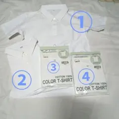 Item thumbnail for item 4251444f-741e-4e62-85be-456980db4187